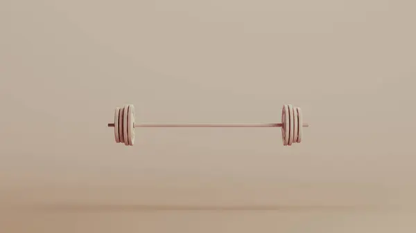 Langhanteltraining Gewichtheben Trainingsgeräte Neutrale Hintergründe Weiche Töne Beige Braun Illustration Stockfoto