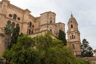 Malaga, İspanya - 26 Ekim 2022: Malaga Katedrali, 26 Ekim 2022