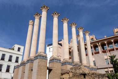 Cordoba, İspanya - 27 Ekim 2022: Roma Cordoba, İspanya Tapınağı 27 Ekim 2022