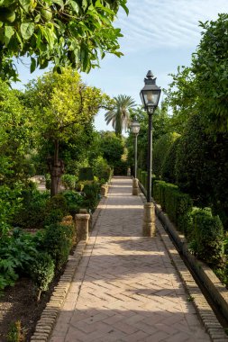 Cordoba, İspanya - 27 Ekim 2022: Cordoba, İspanya 'da 27 Ekim 2022 tarihinde Hristiyan hükümdarların Alcazar Bahçesi