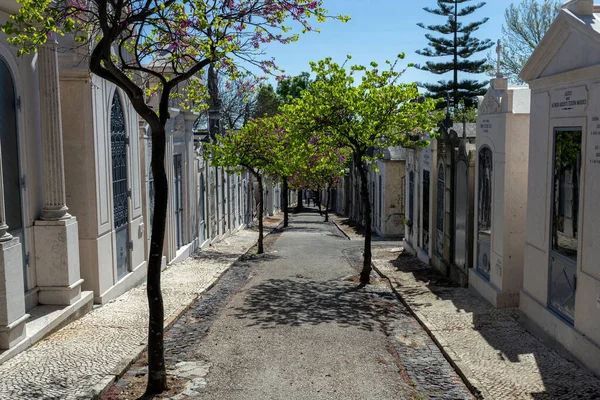 Lisbona Portogallo 2023 Cimitero Alto Sao Joao Una Giornata Estiva — Foto Stock