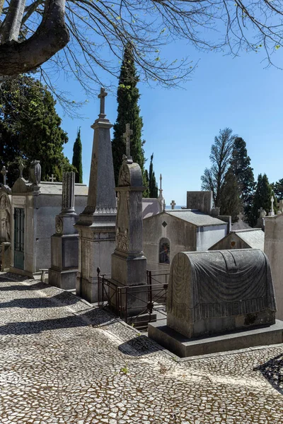 ポルトガルのリスボン 2023年 リスボンの夏の日のアルト ジョアオ墓地 — ストック写真