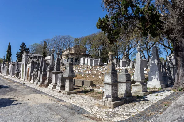 Lissabon Portugal 2023 Der Friedhof Alto Sao Joao Einem Sommertag — Stockfoto