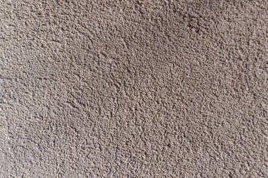 Close-up view of a textured wall surface with rough plaster showing variations in color and shadow. The light creates an interesting depth effect.