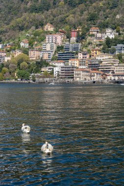 Como, İtalya - 4 Nisan 2025: Güneşli bir günde Como limanından Como 'nun görüntüsü.