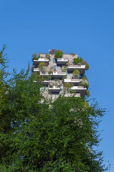 Como, İtalya - 4 Nisan 2025: Güneşli bir günde Milano 'daki Bosco Verticale yerleşim yeri.