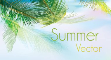 Mavi beyaz arka planda palmiye yaprakları. Yaz tropik plaj geçmişi. Vektör illüstrasyonu