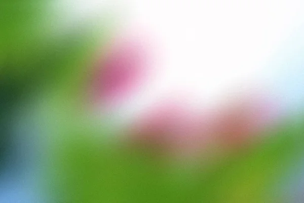 Yeşil Açık Yeşil Pembe Soluk Mavi Bulanık Tahıl Dokusuna Sahip — Stok fotoğraf