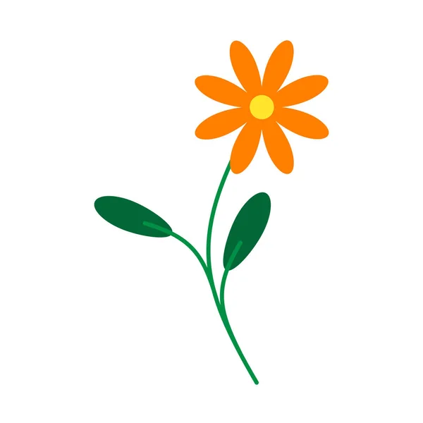 Мальована Вручну Помаранчева Квітка Векторні Ілюстрації — стоковий вектор