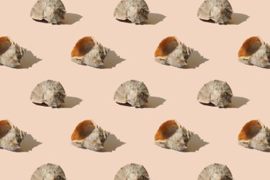 Pastel bej arka planda gölgeli deniz kabuğu. Kusursuz şablon, yaz tatili afişi konsepti