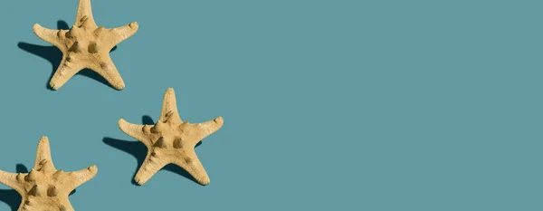Estrella Mar Sobre Fondo Verde Con Sombras Espacio Para Texto — Foto de Stock