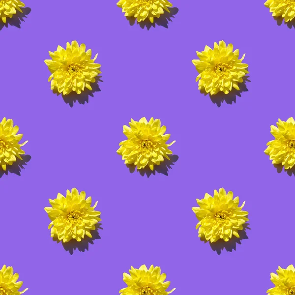 黄色菊花 背景紫色 有阴影 无缝图案 春季或夏季假日花卉概念 — 图库照片