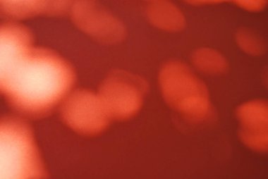 Turuncu arka planda ağaç yapraklarının gölgeleri. Kağıt dokusunda bokeh olan soyut turuncu arkaplan