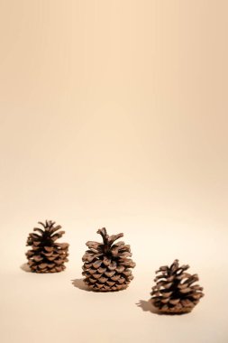 Three forest pine cones on on pastel background with shadows. Natural holiday background with pinecones. Winter or autumn season minimal concept. Botany design. Copy space. Space for text. Sustainable Holidays