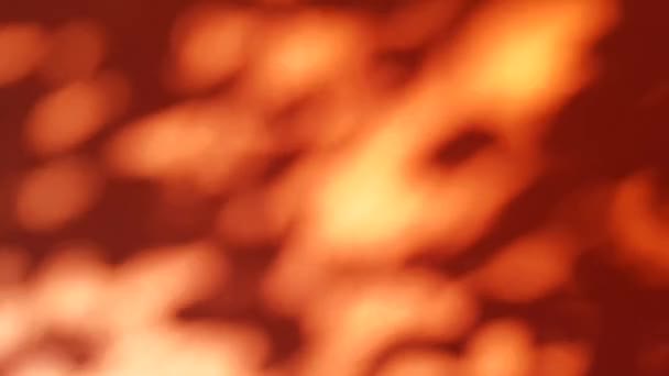 Ombre Sfocate Foglie Albero Sfondo Arancione Che Muovono Tempo Ventoso — Video Stock