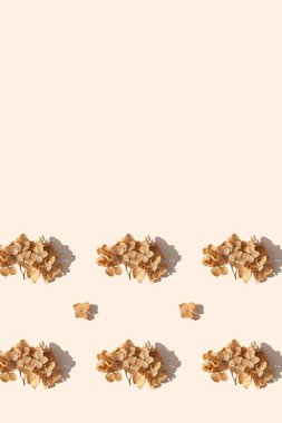 Dried hydrangea flower on a beige background with a long shadows. Mocha mousse color. Autumn season minimal wallpaper concept. Copy space. Space for text