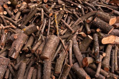 Yığınla odun ve dal kestim. Evi ısıtmaya hazırlıyorum. Kış için yakacak odun hazırlığı