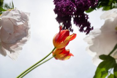 Aynadan yansıyan parlak gökyüzü