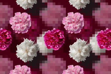 Koyu pembe arka planda beyaz ve pembe şakayık çiçekli desen. Piksel elementleri ya da kareleri olan çiçek kolajı. Tebrik kartı. Bahar ya da yaz tatili geçmişi