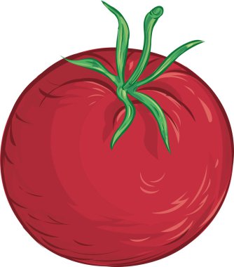 Domates. Beyaz arka planda yalıtılmış sebzeler