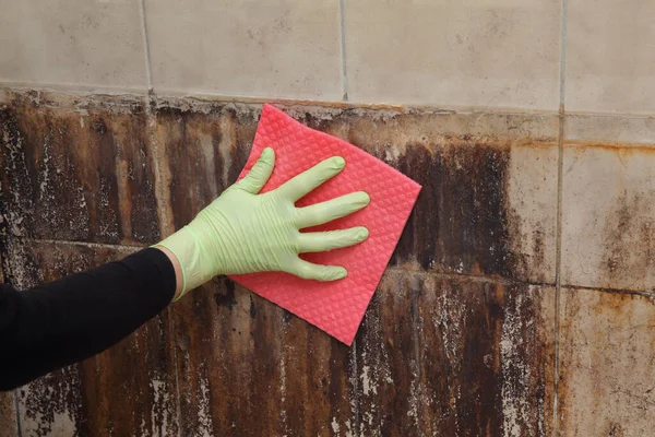 女用手拿着防护手套 用海绵擦拭垫子擦拭肮脏的瓷砖 脏乱肮脏的浴室 非常糟糕 图库照片