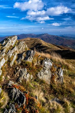 Dağlarda sonbahar renklerinin patlaması. Polonina Carynska, Bieszczady Ulusal Parkı, Karpatlar, Polonya.