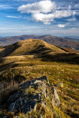 Dağlarda sonbahar renklerinin patlaması. Polonina Carynska, Bieszczady Ulusal Parkı, Karpatlar, Polonya.