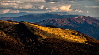 Renkli sonbahar dağ manzarası, Bieszczady Dağları, Karpatlar, Polonya ve Ukrayna.