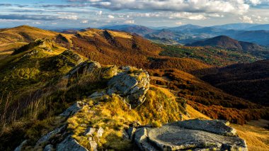 Renkli sonbahar dağ manzarası, Bieszczady Dağları, Karpatlar, Polonya.