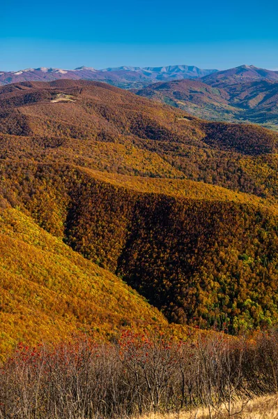 Kolorowy Jesienny Krajobraz Górski Ukraińska Część Bieszczad Widoczna Góry Wielkiej — Zdjęcie stockowe