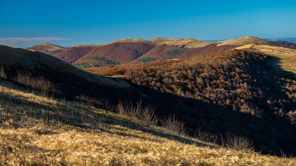 Εθνικό Πάρκο Bieszczady Πολωνία Πολύχρωμο Ορεινό Τοπίο Φθινόπωρο — Φωτογραφία Αρχείου