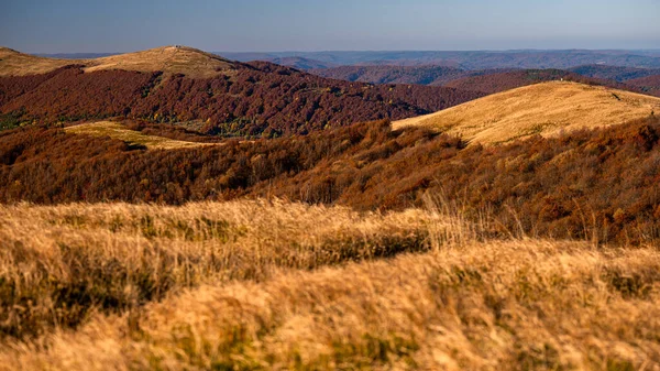 Національний Парк Біскаді Польща Барвистий Осінній Гірський Краєвид — стокове фото