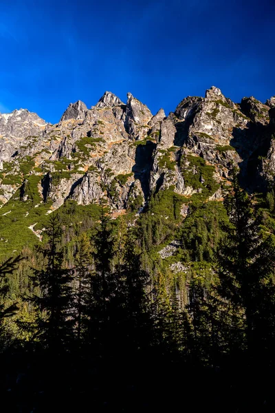 Büyük Soğuk Vadi Tatra Ulusal Parkı Slovakya — Stok fotoğraf