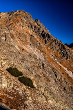 Rocky zirveleri Tatra Ulusal Parkı, SLovakya 'da.