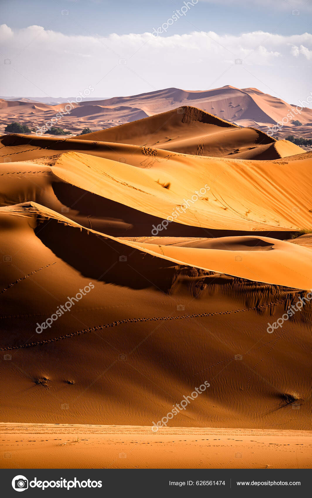 Oases of the sahara desert images libres de droit, photos de Oases of the  sahara desert | Depositphotos