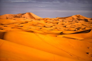Sahra Çölü kum tepeleri. Popüler seyahat merkezi, Erg Chebbi, Sahra Çölü, Fas.
