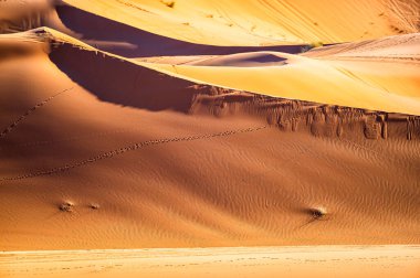 Çöl kum tepeleri yakın plan. Sahra Çölü, Erg Chebbi, Fas.