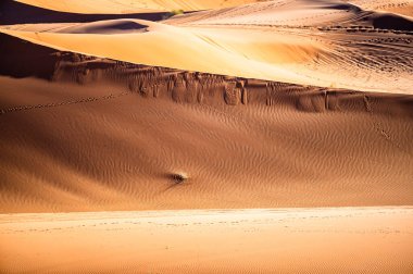 Çöl kum tepeleri yakın plan. Sahra Çölü, Erg Chebbi, Fas.