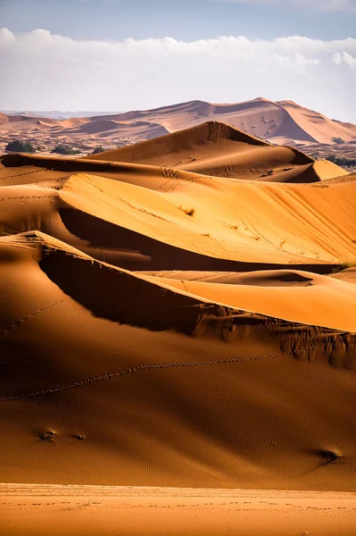 Sahara Pouštní Písečné Duny Pozadí Oblíbená Destinace Erg Chebbi Sahara — Stock fotografie
