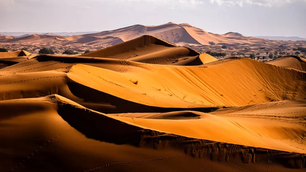 Sahara Desert Sand Dunes Background Popular Travel Destination Erg Chebbi — Stock Photo, Image