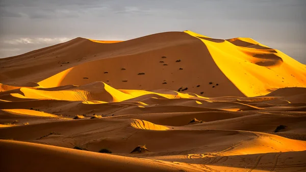 Фоне Песчаных Дюн Пустыни Сахара Популярное Направление Путешествия Эрг Чебби — стоковое фото