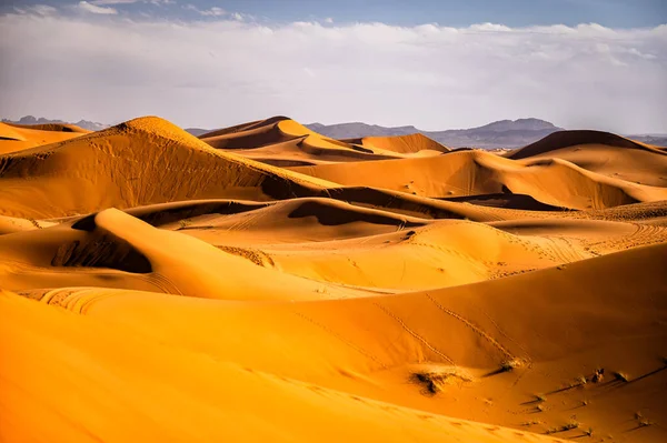 Szahara Sivatag Homokdűnék Háttér Népszerű Úti Cél Erg Chebbi Sahara — Stock Fotó