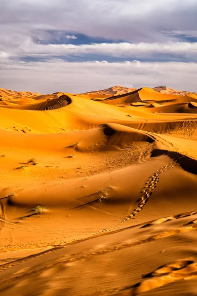 Fondo Dunas Del Desierto Del Sahara Destino Popular Erg Chebbi — Foto de Stock