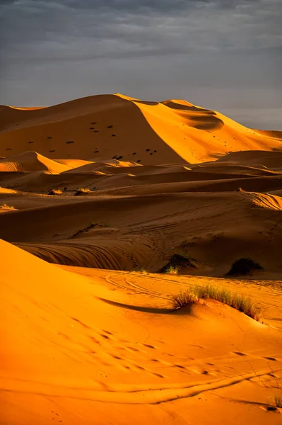 Sahara Desert Sanddyner Bakgrund Populära Resmål Erg Chebbi Saharaöknen Marocko — Stockfoto