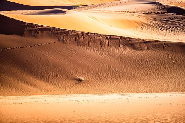 Çöl Kum Tepeleri Yakın Plan Sahra Çölü Erg Chebbi Fas — Stok fotoğraf