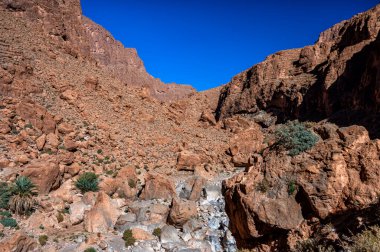 Todra Vadisi, Tinghir şehrinin yakınındaki Todgha Vadisi. Atlas Dağları, Fas 'taki en popüler turizm merkezlerinden biri..
