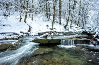 Forest mountain stream in winter. 