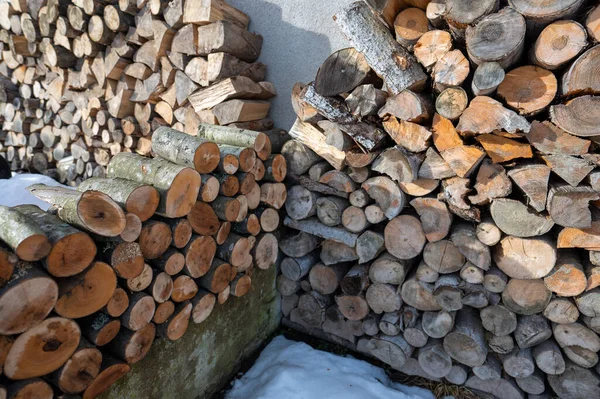 Firewood folded to dry in the yard. A mix of different types of wood.
