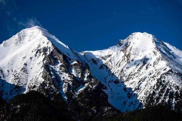 Gros Plan Sur Les Hauts Sommets Des Belianske Tatras Slovaquie — Photo