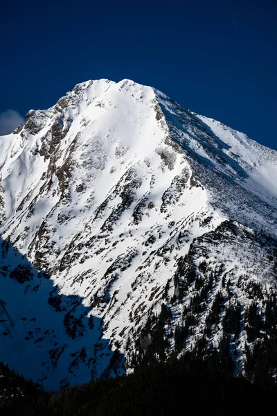 Крупный План Высочайших Вершин Белянских Татр Словакия — стоковое фото